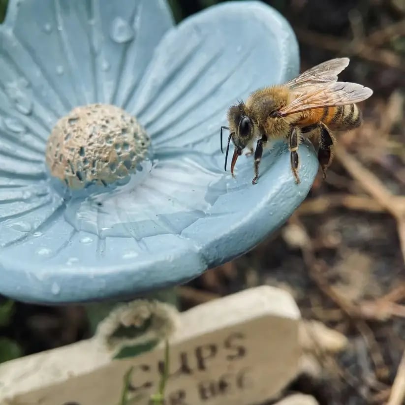 🌸Flower-Shaped Ceramic Bee Watering Station🐝