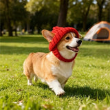 🔥LAST DAY 50% OFF - 🐾Red Wool Knit Dog Beanie with Ear Flaps – Warm Winter Hat