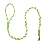 Green White Dog Leash