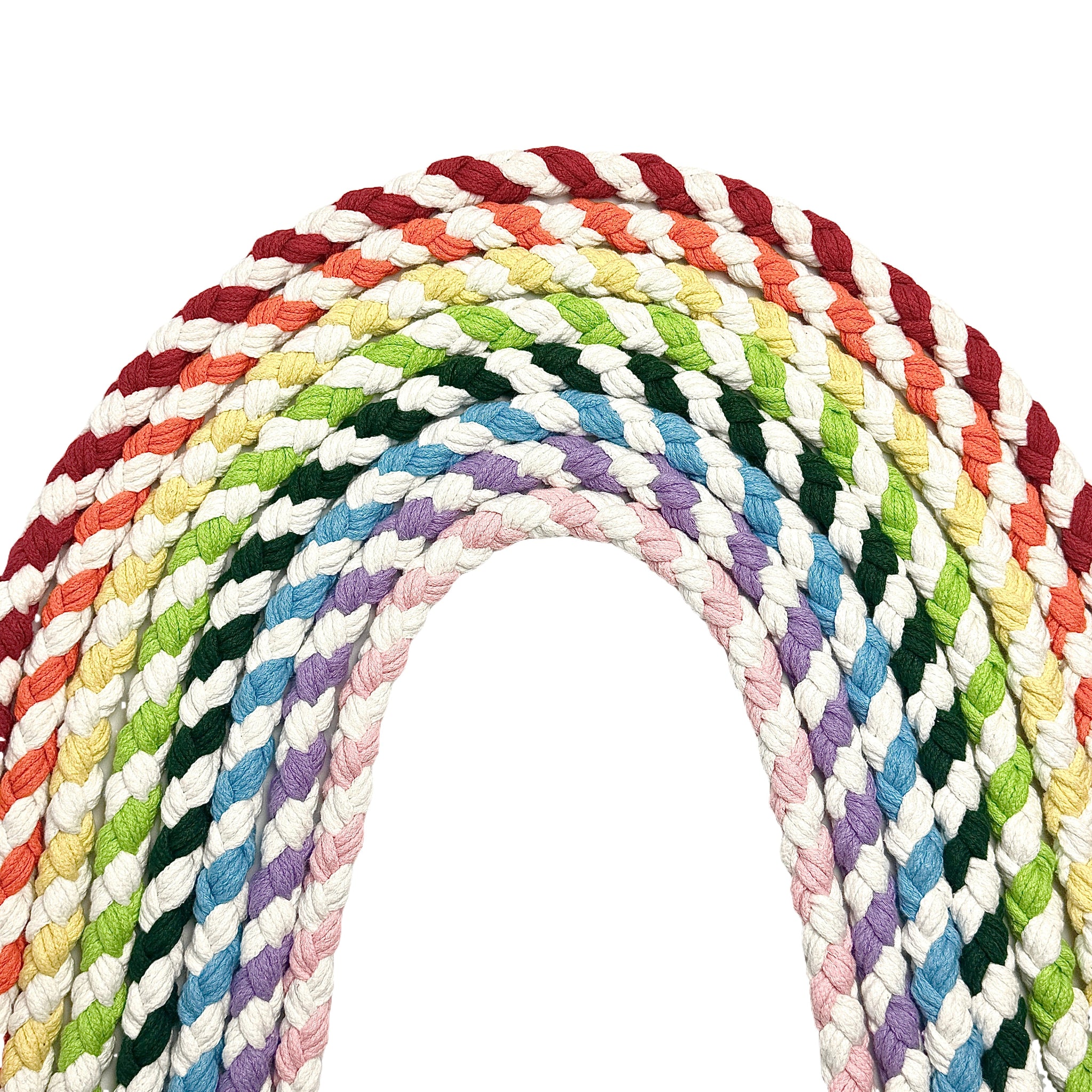 Green White Dog Leash