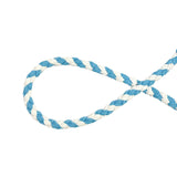 Blue White Dog Leash