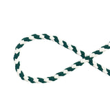 Cyan White Dog Leash