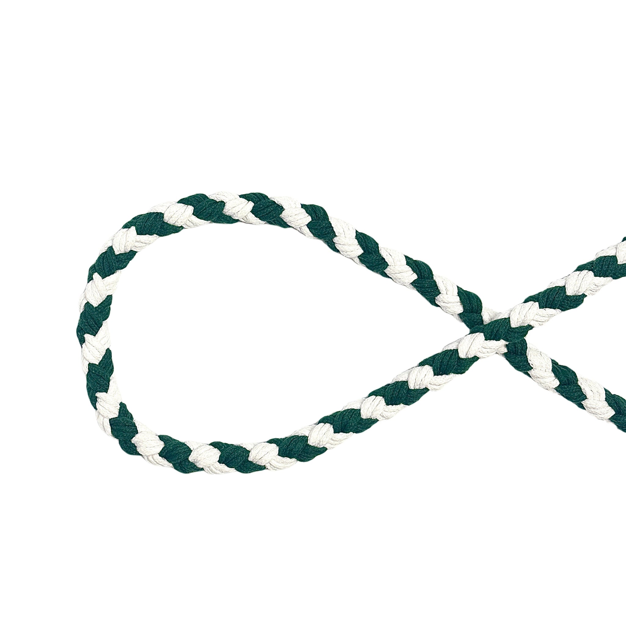 Cyan White Dog Leash