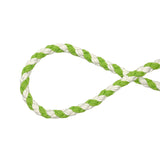 Green White Dog Leash