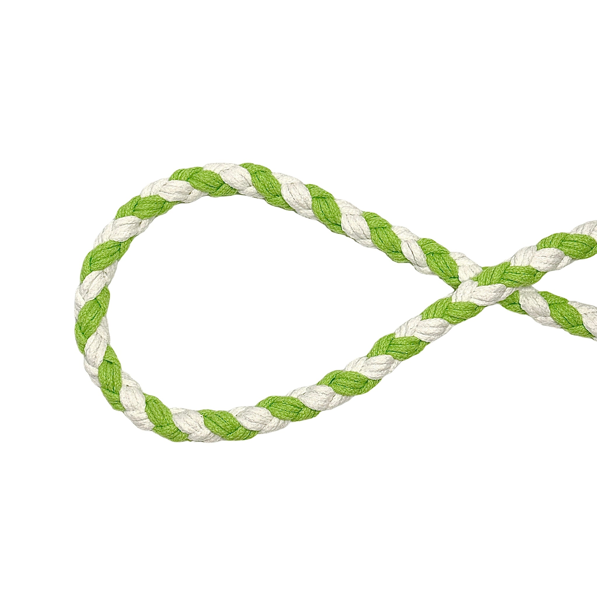 Green White Dog Leash