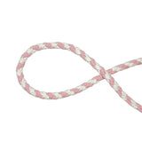 Pink White Dog Leash