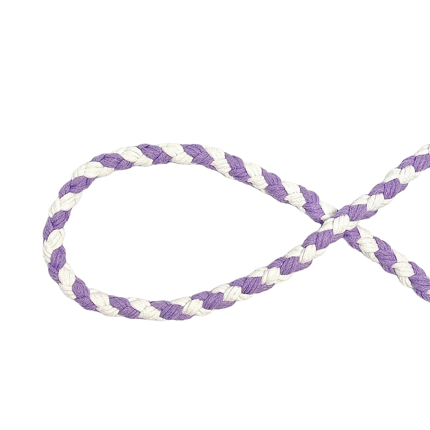 Purple White Dog Leash