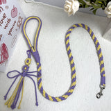 Purple Yellow Dog Leash
